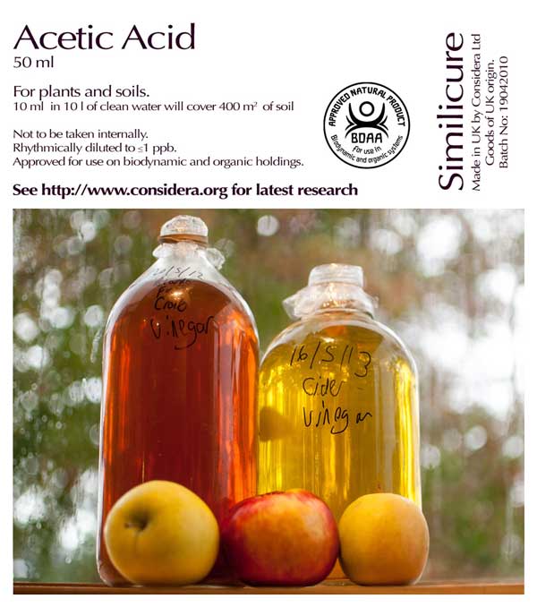 Acetic acidum
