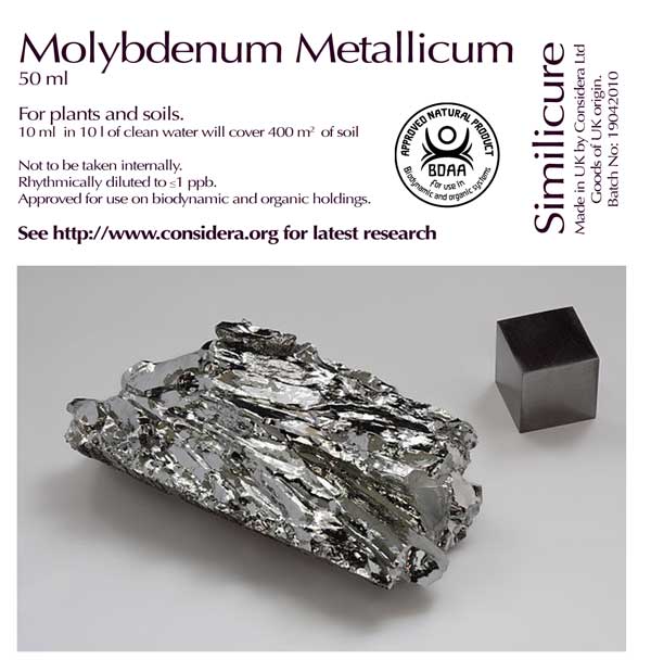 Molybdenum Metallicum