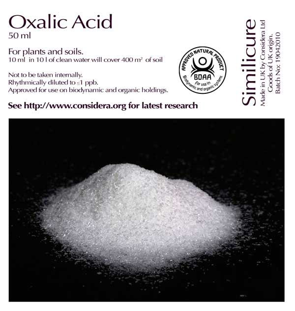 Oxalic acidum