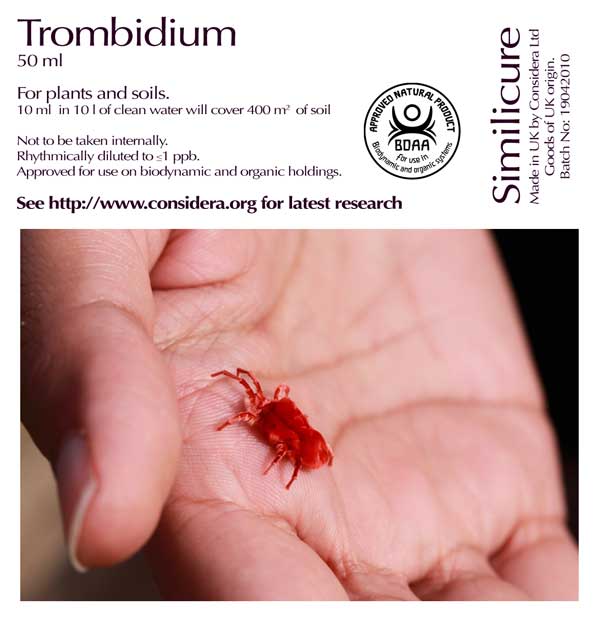 Trombidium muscae domesticae