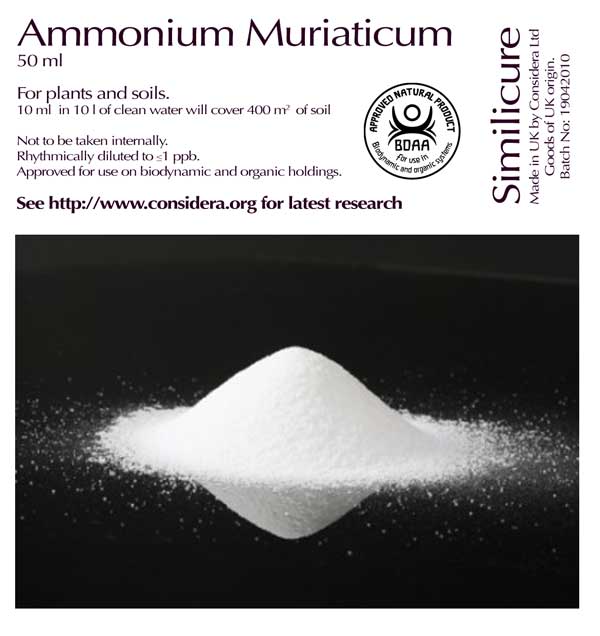 Ammonium muriaticum